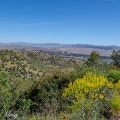 DSC 7588