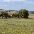 DSC 7723