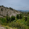 DSC 7778
