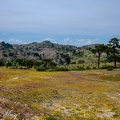 DSC 7786