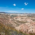 DSC 7941