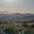 DSC 7978