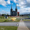 DSC 8711