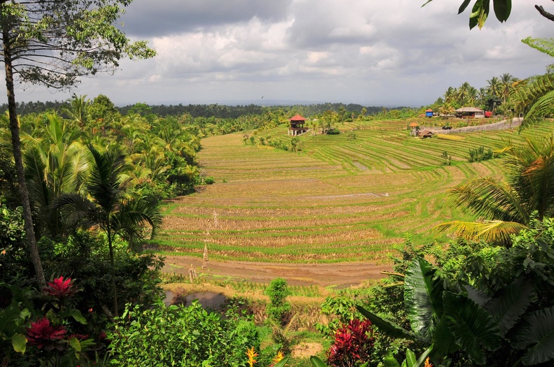 Bali 2015