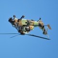 Looping Helico